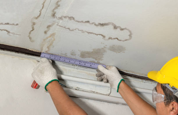 Affordable Water Damage Repair solutions in Cedar Grove, WV